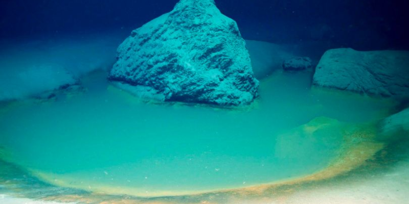 Ảnh trong bài 1[1]