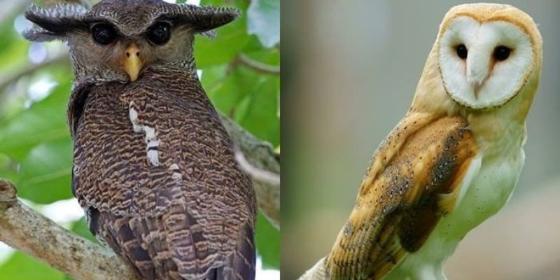 Ảnh trong bài 1[1]