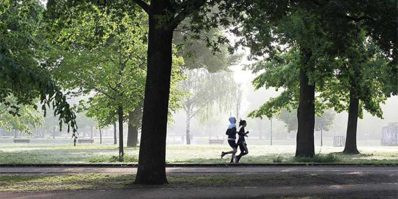 Ảnh trong bài 1[1]