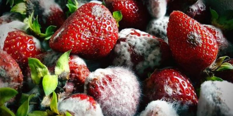 Ảnh trong bài 1[1]