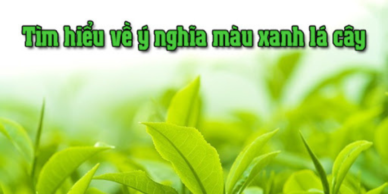 Ảnh trong bài 1[1]