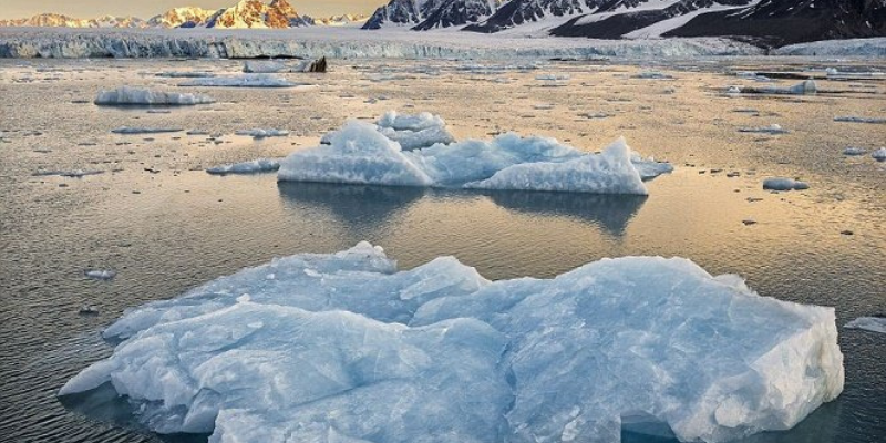 Ảnh trong bài 1[1]