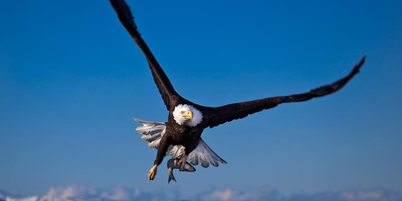 Ảnh trong bài 1[1]