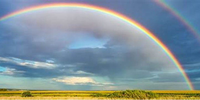 Ảnh trong bài 1[1]