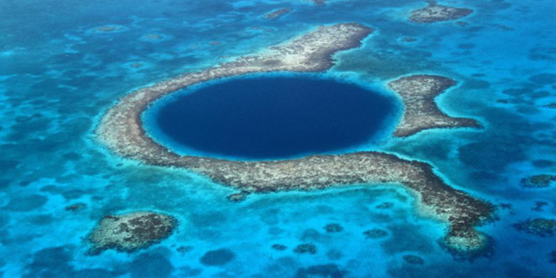 Ảnh trong bài 1[2]