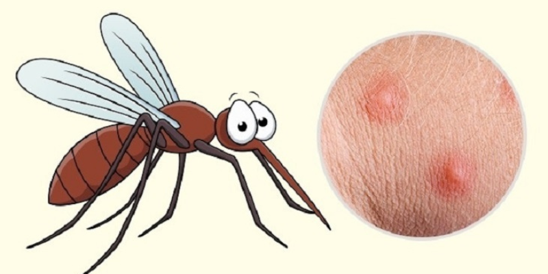 Ảnh trong bài 1[2]