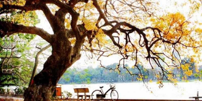 Ảnh trong bài 1[2]