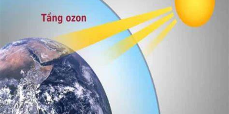 Ảnh trong bài 1[2]