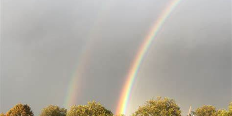 Ảnh trong bài 2[1]