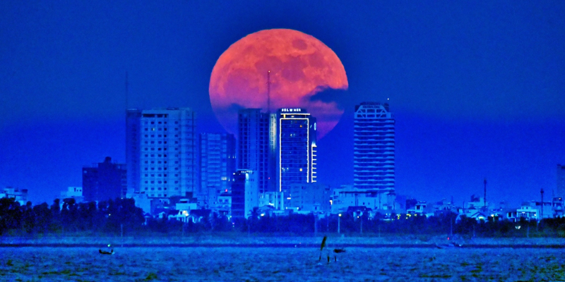 Ảnh trong bài 2[1]