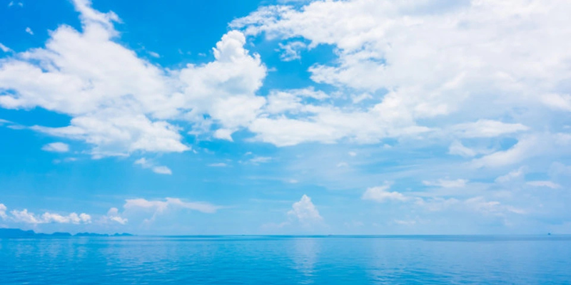 Ảnh trong bài 2[1]