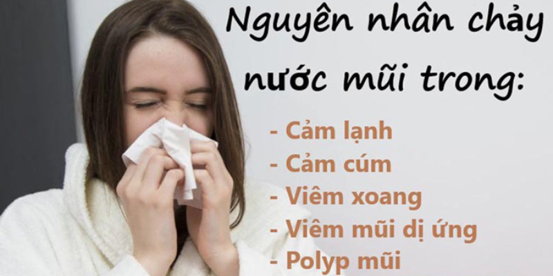 Ảnh trong bài 2[1]