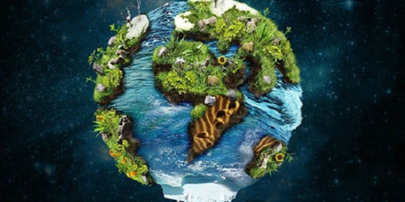 Ảnh trong bài 2[1]