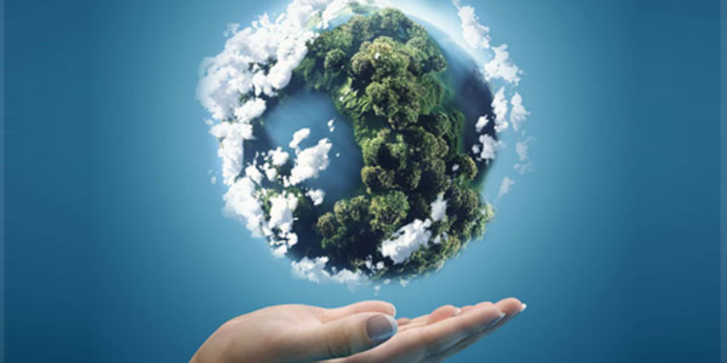 Ảnh trong bài 2[1]