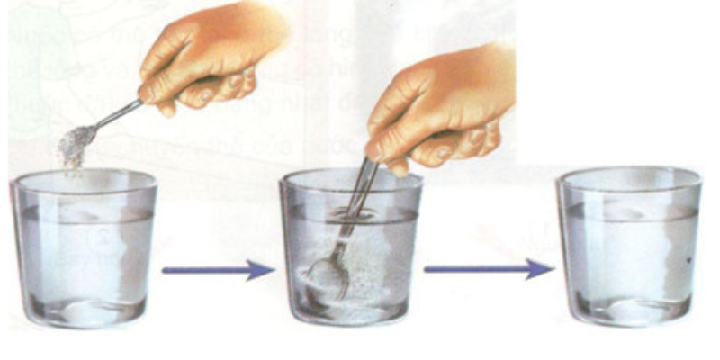 Ảnh trong bài 2[1]