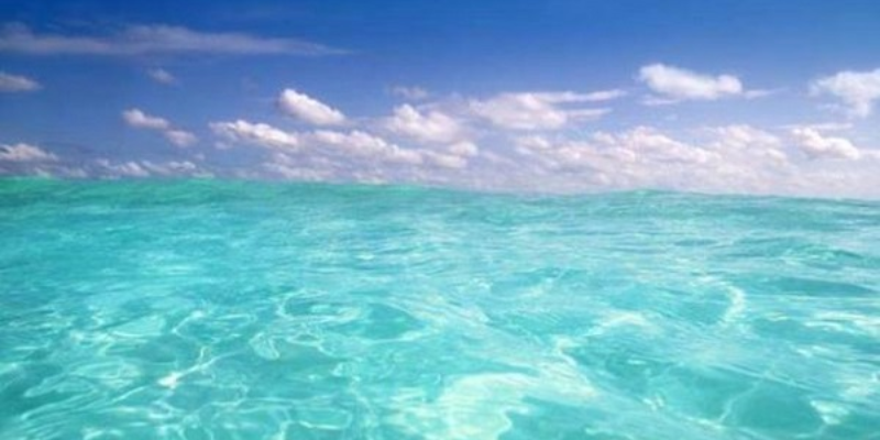 Ảnh trong bài 2[1]