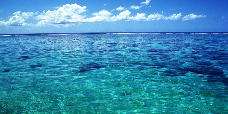 Ảnh trong bài 2[1]