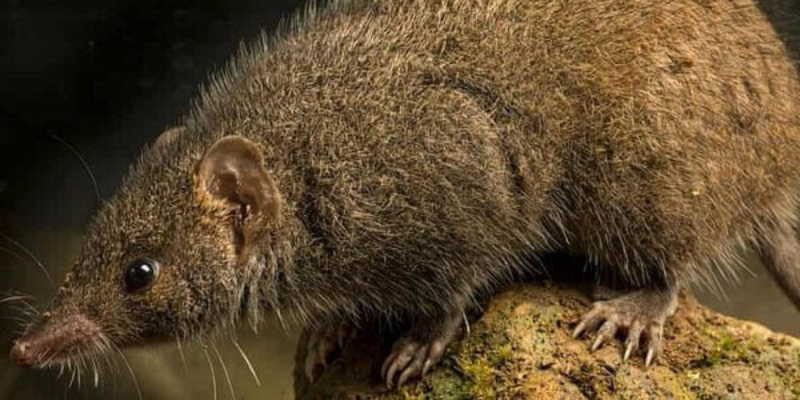 Ảnh trong bài 2[1]