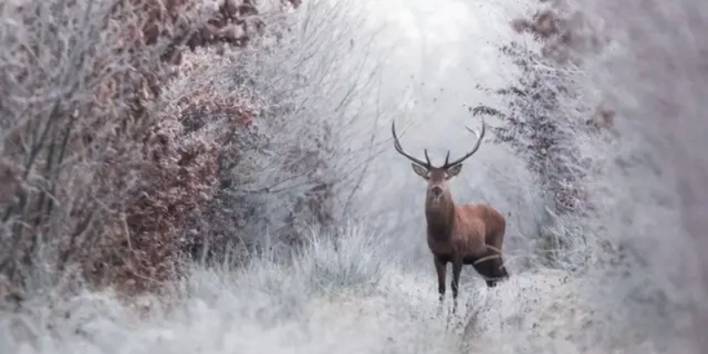 Ảnh trong bài 2[1]