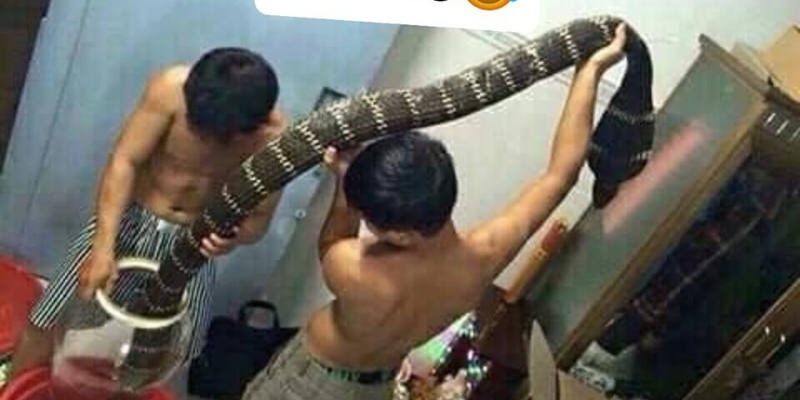 Ảnh trong bài 2[1]