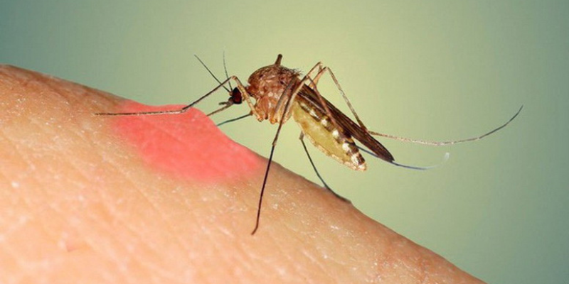 Ảnh trong bài 2[1]