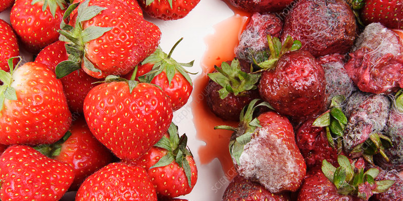 Ảnh trong bài 2[1]