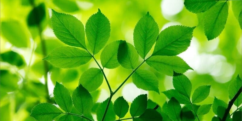 Ảnh trong bài 2[1]