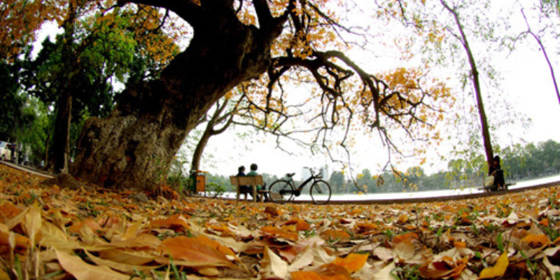 Ảnh trong bài 2[1]