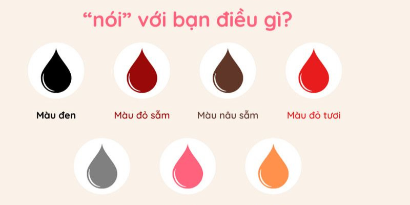 Ảnh trong bài 2[1]