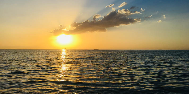 Ảnh trong bài 2[1]