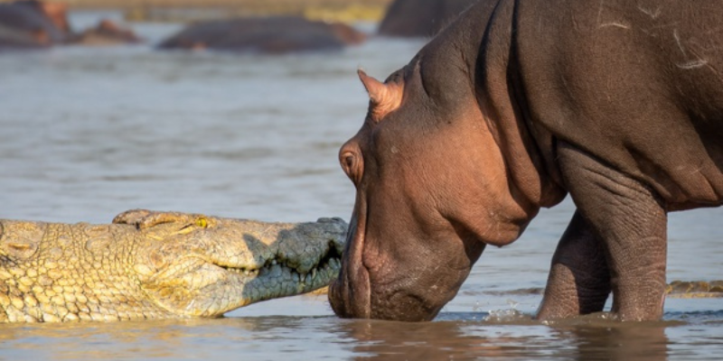 Ảnh trong bài 2[1]