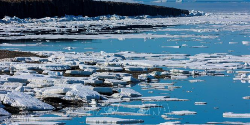 Ảnh trong bài 2[1]