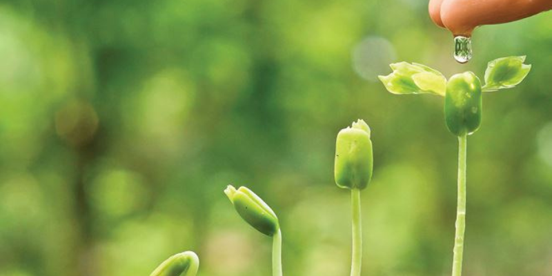 Ảnh trong bài 2[1]