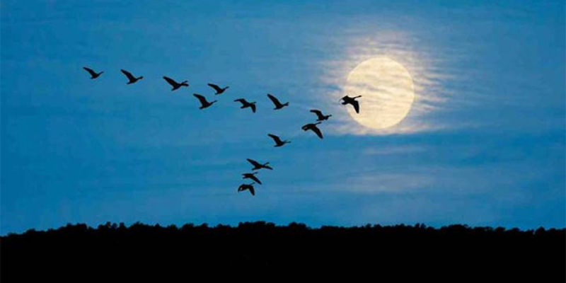 Ảnh trong bài 2[1]