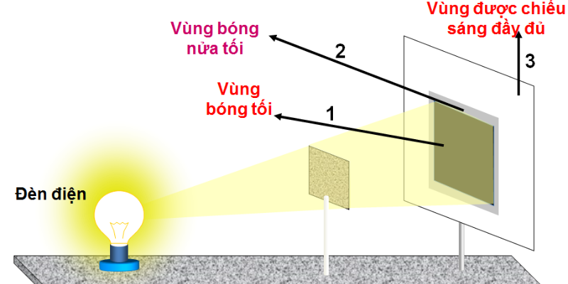 Ảnh trong bài 2[1]