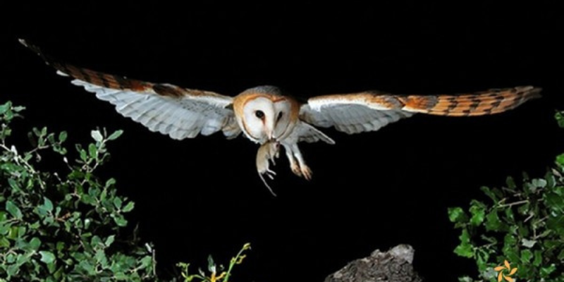 Ảnh trong bài 2[2]