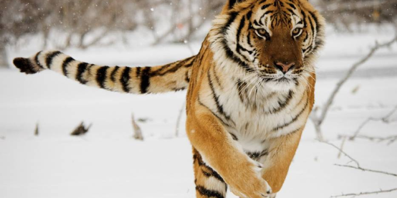 Ảnh trong bài 2[2]