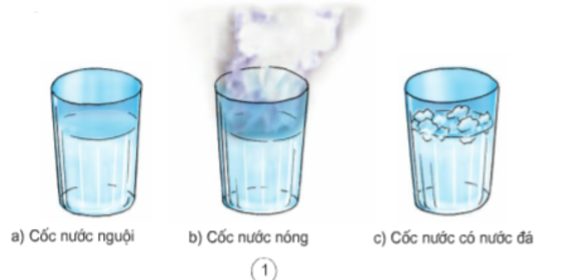 Ảnh trong bài 2[2]