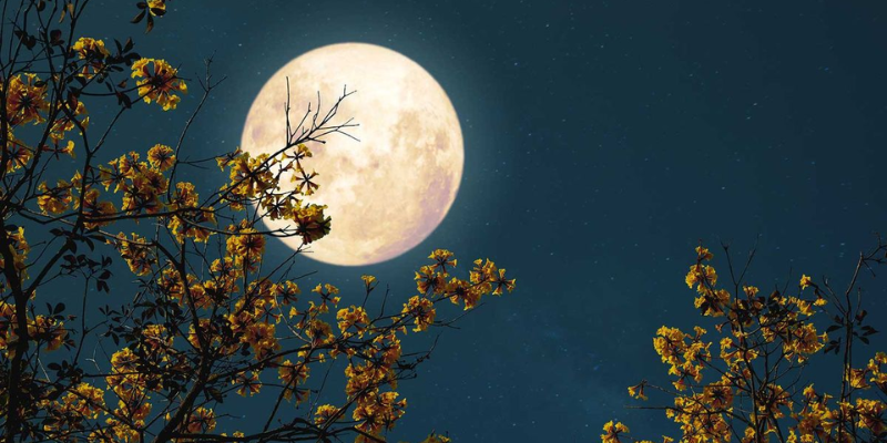 Ảnh trong bài 3[1]