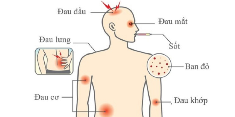 Ảnh trong bài 3[1]