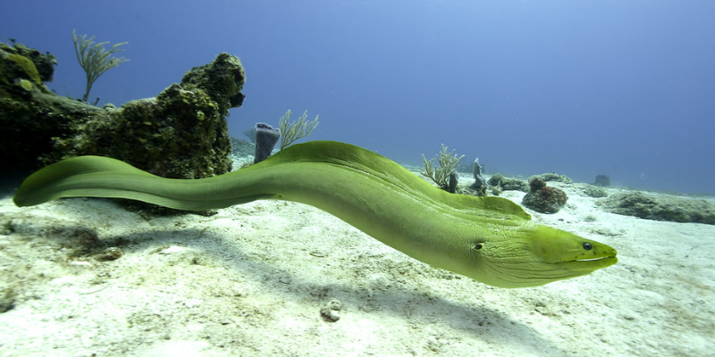 Ảnh trong bài 3[1]