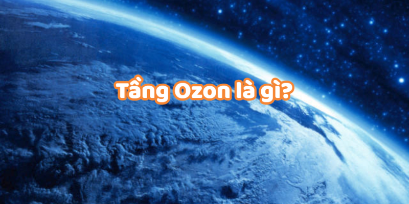 Ảnh trong bài 3[1]