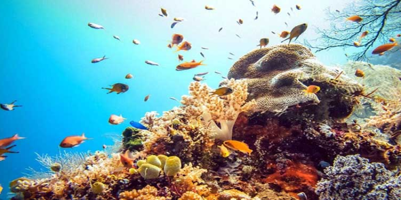 Ảnh trong bài 3[1]