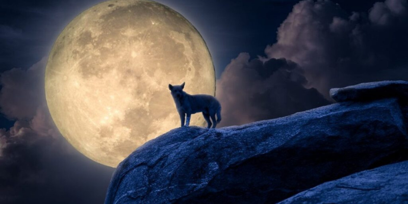 Ảnh trong bài 3[1]