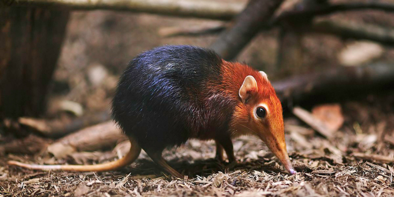 Ảnh trong bài 3[1]