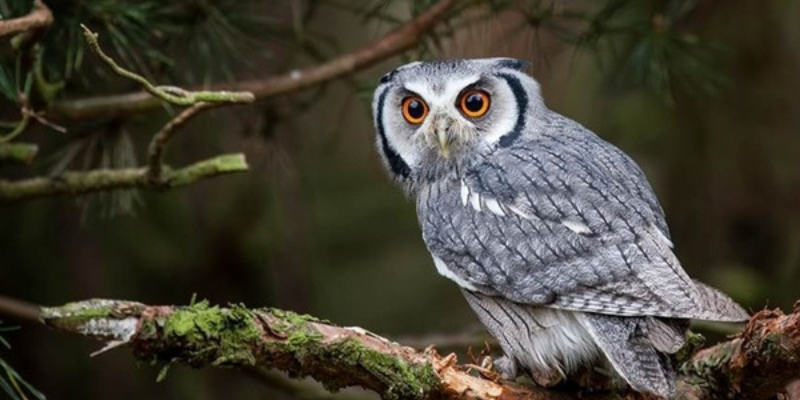 Ảnh trong bài 3[1]