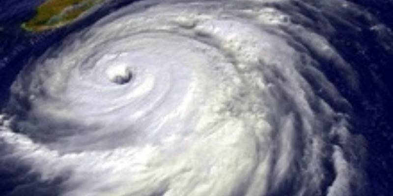 Ảnh trong bài 3[1]