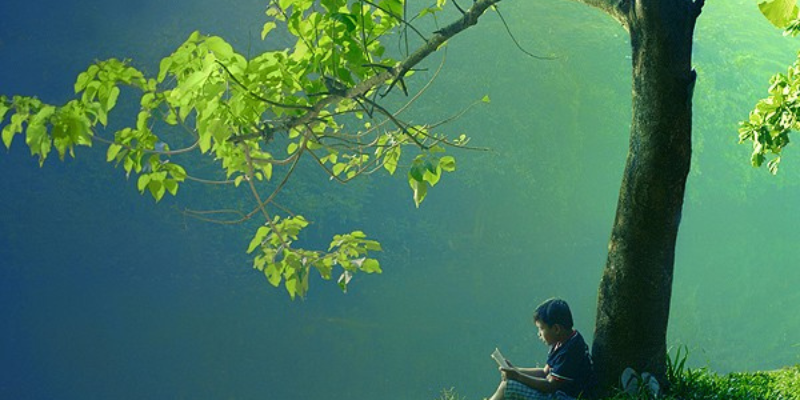 Ảnh trong bài 3[1]