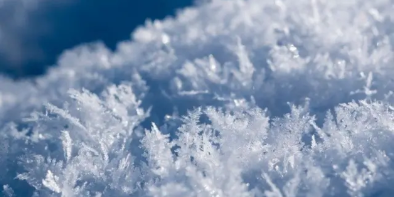 Ảnh trong bài 3[1]