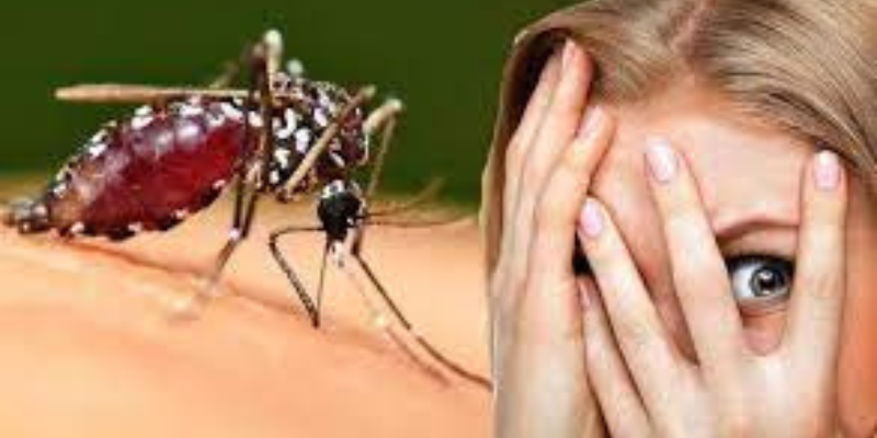 Ảnh trong bài 3[1]